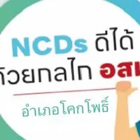 NCDs ดีได้ ด้วยกลไก อสม อ.โคกโพธิ์