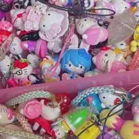 @Unijaiji ≽^• ˕ • ྀི≼