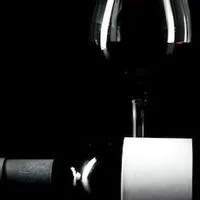 Job Party -  Influencer