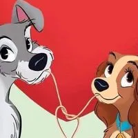 Preorderjapanmena สำรอง