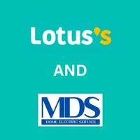 MDS x LOTUS (Open chat)