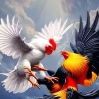 สนามชนไก่พยัคฆ์บูรพา ชลบุรี