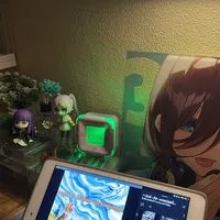 ร้าน Blackriseanimestore