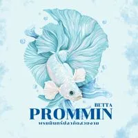 พรมมินทร์ปลากัดสวยงาม | PROMMIN BETTA