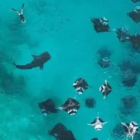 MALDIVES NANA AGENCY : SEA YOU