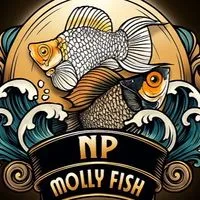 NP Molly Fish