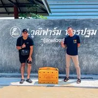 ครองลาภฟาร์ม พัฒนาสายเลือด ป.วุฒิฟาร์ม