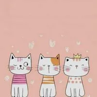 🌈🪻🌷ทอม ดี้ เลส ญญ >> คุยกัน 🌹💐🦋