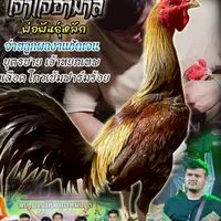 เด็กสมบูรณ์ทีม..เลือดมังกร