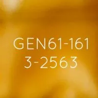 GEN161-3/2563