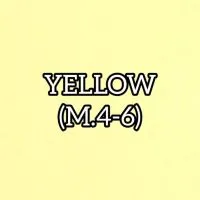 YELLOW66 (M.4-6)