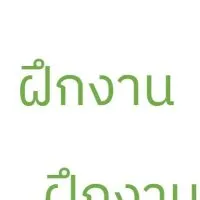 Job Seeker 2023 (Thai program)