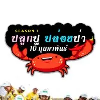 ปล่อยปู ปลูกป่า