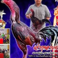 เพชรภูพิมพ์ฟาร์ม🐲(สังกัด.วัยรุ่นM6)