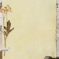 ตลาดนัดท่าวังผา