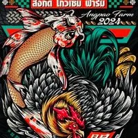 กลุ่มผ่อน ลูกไก่ ไก่หนุ่ม ไก่สาว  อั่งเปาฟาร์ม🧧