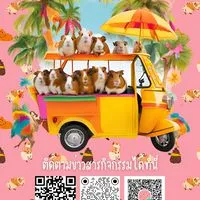 Cavy Club