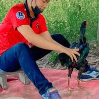 ซุ้ม ป.ปัญญา