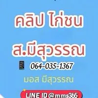 🏆กลุ่ม 9 คลิปไก่ ส.มีสุวรรณ(VIPลูกแชมป์ตัวดัง)🏆