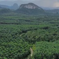 แจ้งข่าว กองช่าง อบต.ทุ่งระยะ