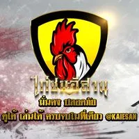 ไก่ชนอีสาน🐔 เล่น-ไก่ชน