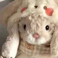 💖🐇✨ คุยเล่นหาเพื่อนน🫧🕊️💖
