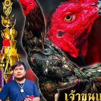 ซุ้ม ช.นพรัตน์ ป่าก๋อยพัฒนา
