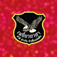 เหยี่ยวปฎิบัติงาน
