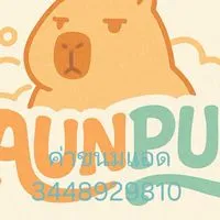 ซีรีส์ของAUNPUN