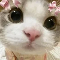 ✿ nekomori store — 🎀