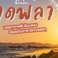 ทีมงานขับรถ RAYONG Team Car