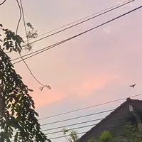 แจกภาพวิว