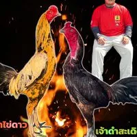 เนรมิตฟาร์ม อรัญประเทศ