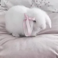หมวยกาตุ่ย🐰