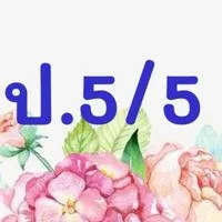 ป.5/5