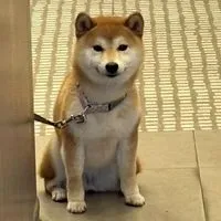 𝐏𝐢𝐜𝐭𝐮𝐫𝐞 𝐁𝐲𓈒𝐉𝐚𝐉𝐚𝐚 𝐀𝐧𝐝 𝐠𝐚𝐧𝐠