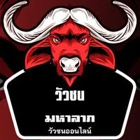 🐲วัวชนมหาลาภ แนวทาง🐂