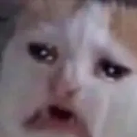 พาเหรด