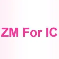 Focus Group ZM For IC License 2021