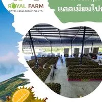 รอยัลฟาร์ม 2025