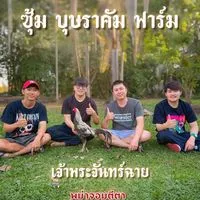 💎ซุ้ม.บุษราคัม💎[คัดไก่VIP]