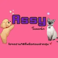 Assy