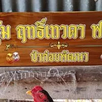 ฤทธิ์เทวดา ฟาร์ม