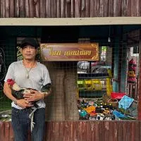 ไฉนดอนเมือง สายพม่า