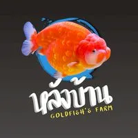 หลังบ้าน ปลาทอง ฟาร์ม