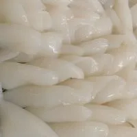 ซีเฟรชโฟรเซ่นฟู๊ด