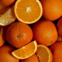 สีแสดไม่ใช่สีส้ม2568 🧡🧡