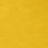 สีเหลือง💛2568