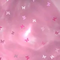 Choompoo 68