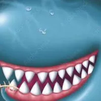 🦈 หน้าไม่อาย